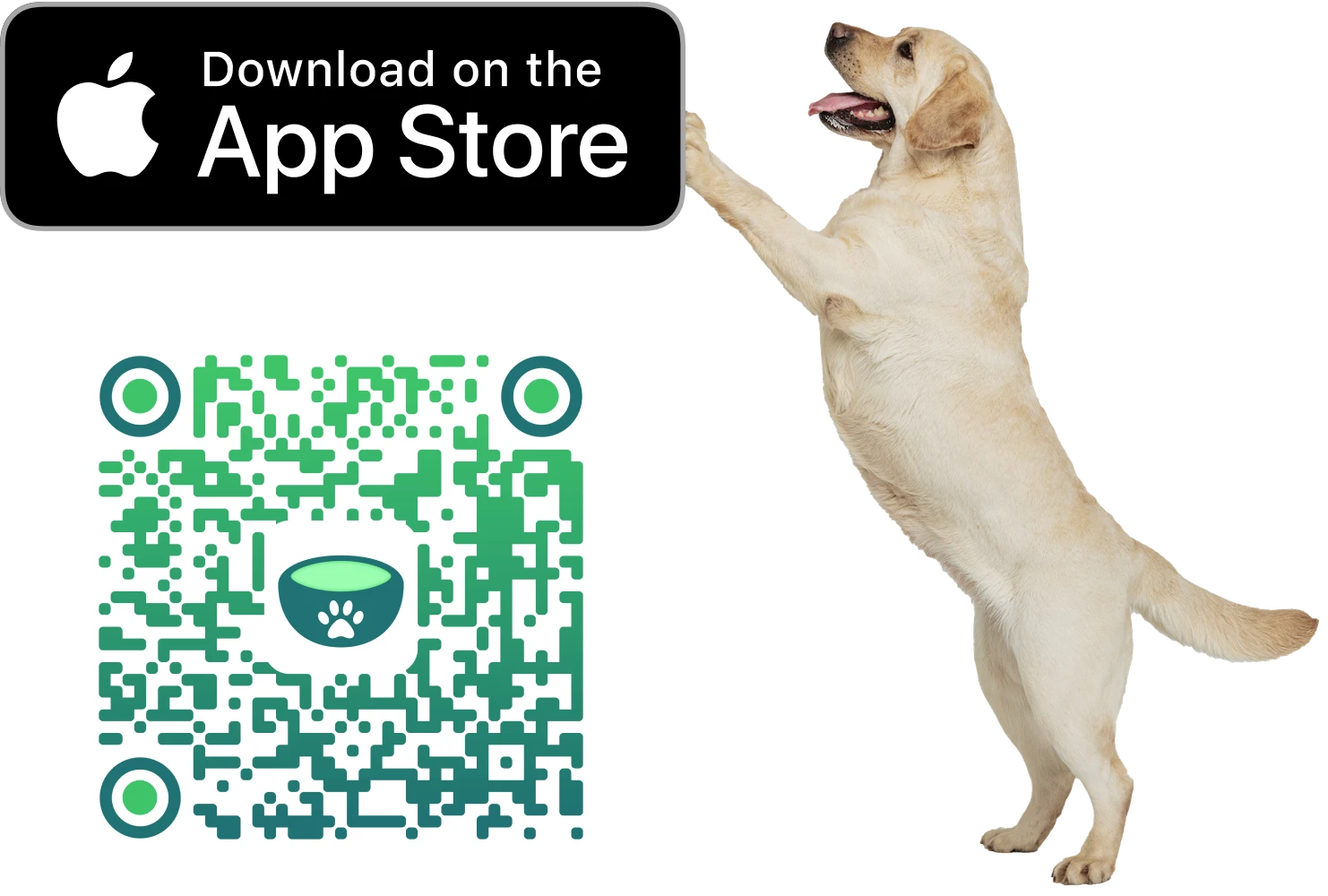 'Download on the App Store button', with a labnrador leaning on it