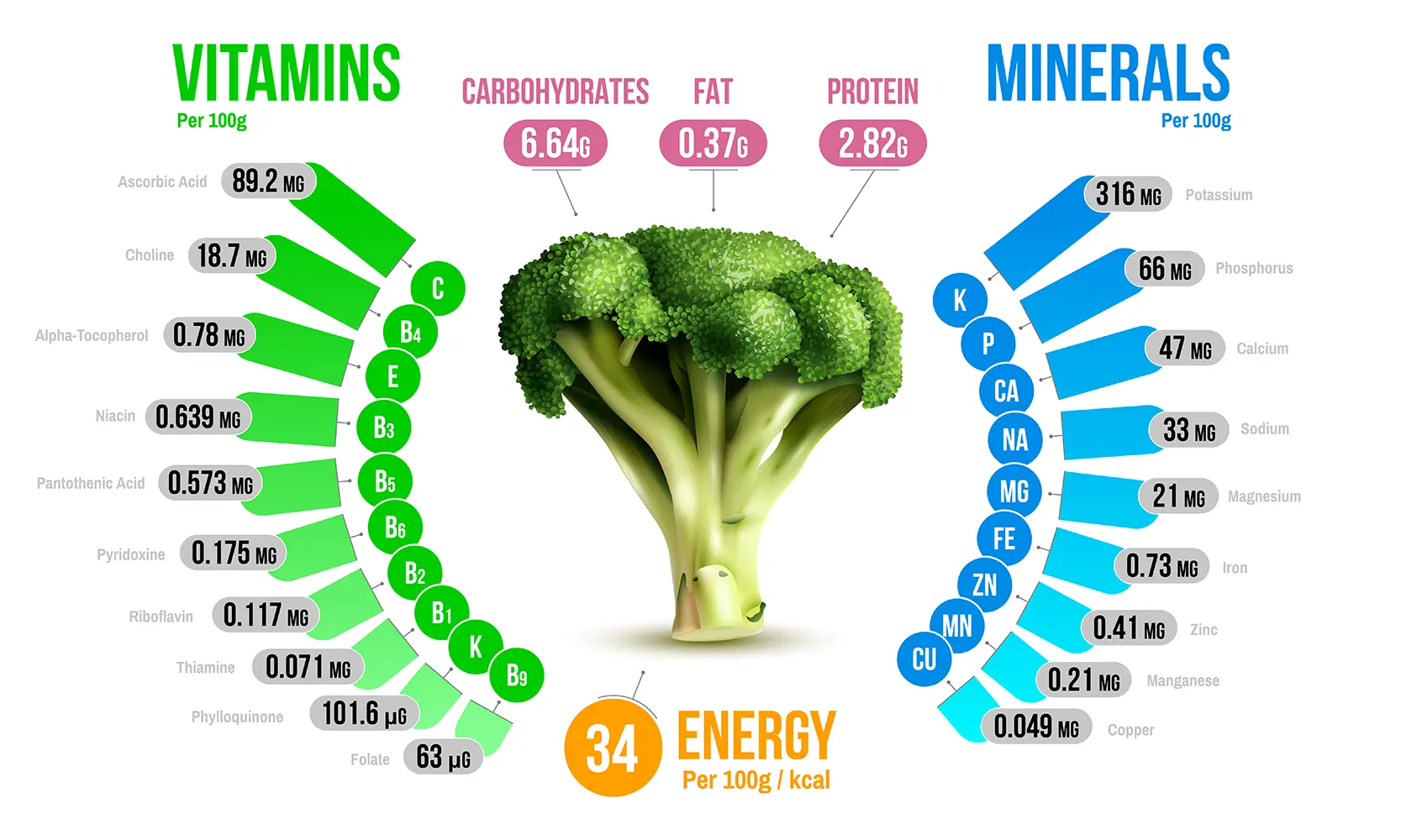 Broccoli Nutrition